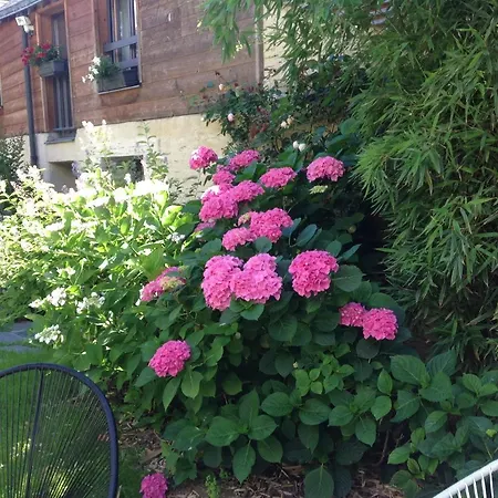 Madeleine & Cie 3* Angers